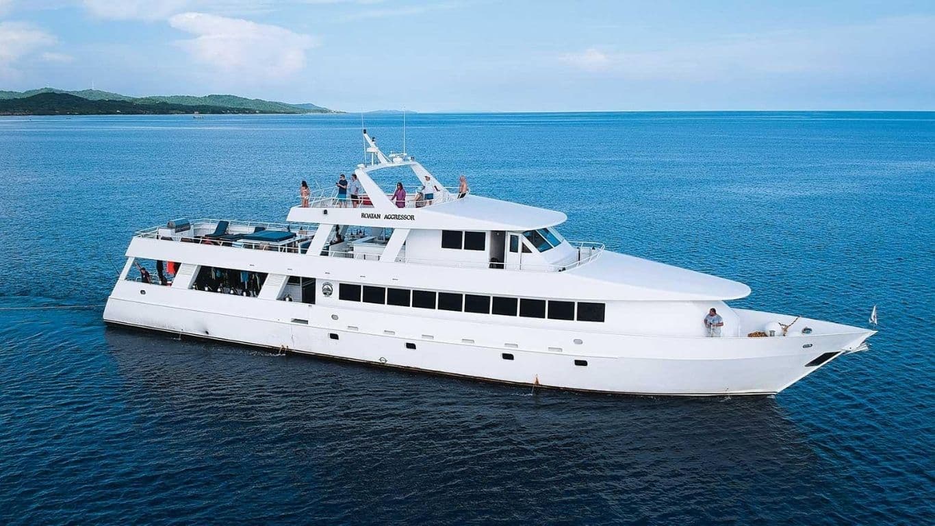 Liveaboards