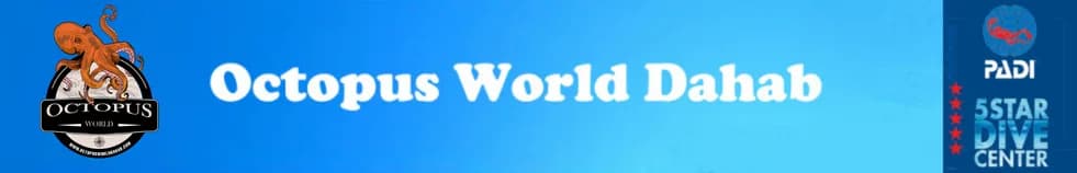 Octopus World Dahab - Cover Photo