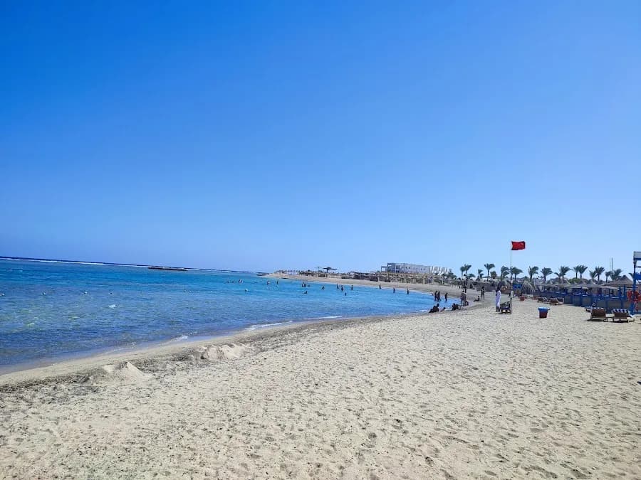 Euro-Divers — Utopia Beach Club - Cover Photo
