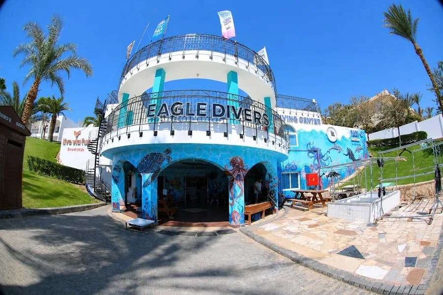 Eagle Divers - Cover Photo