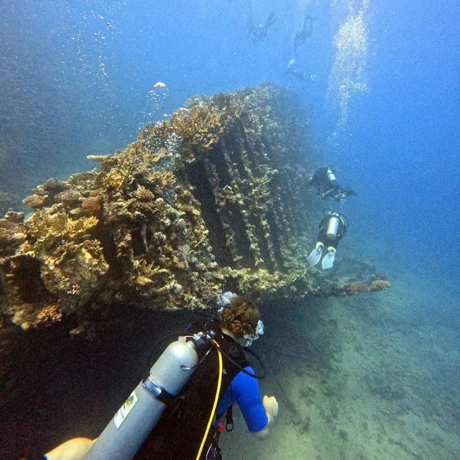 Dinos Diving - Cover Photo