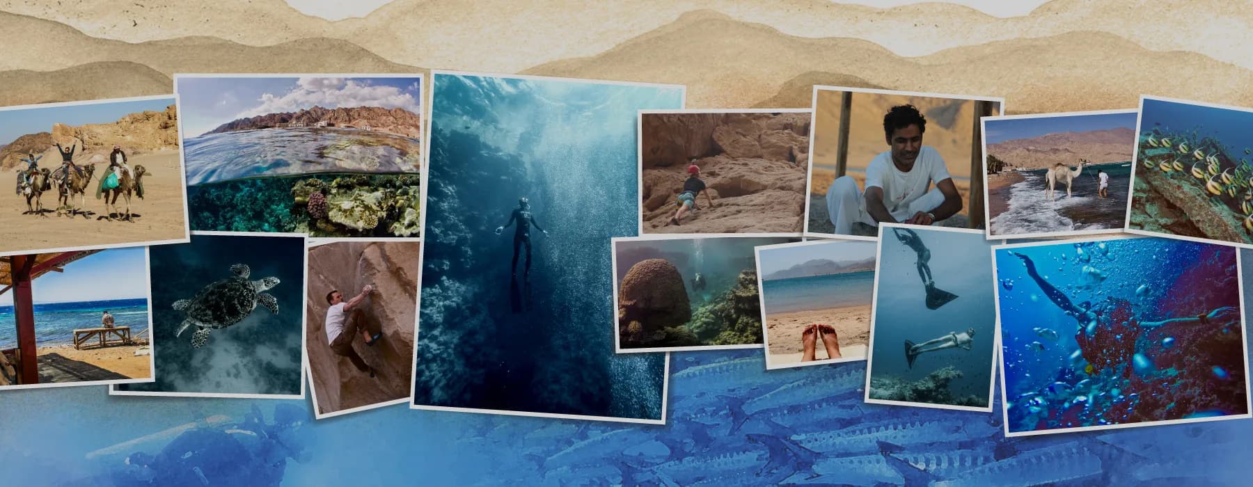 Desert Divers Dahab - Cover Photo