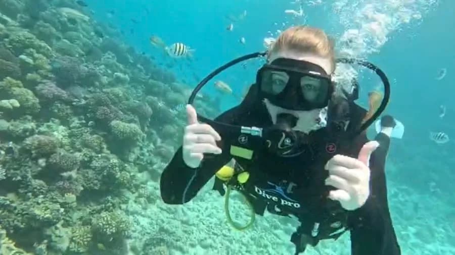 Jasmin Diving Center - Cover Photo