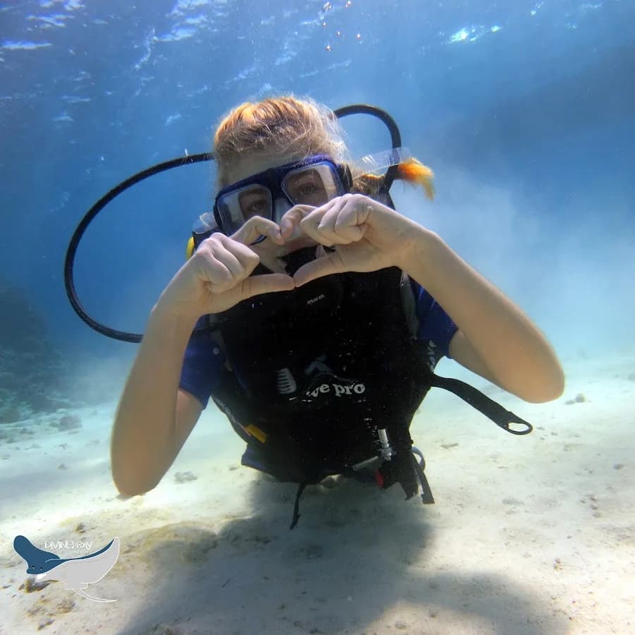Eagle Ray Divers - Cover Photo