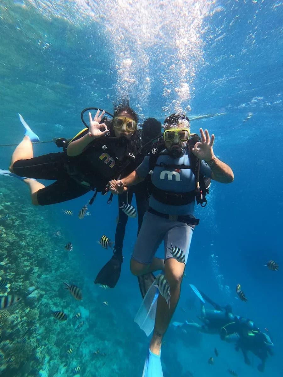 White Dolphin Diving Center - Cover Photo