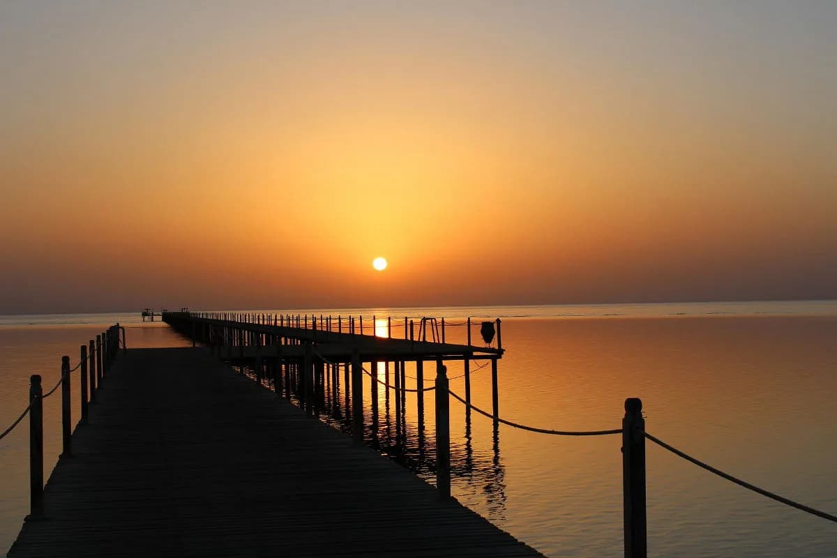 Emperor Divers Marsa Alam (Port Ghalib) - Cover Photo