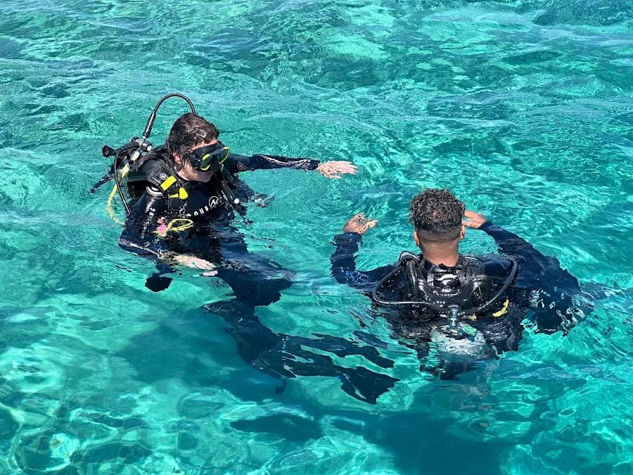 Duck's Dive Center - Cover Photo