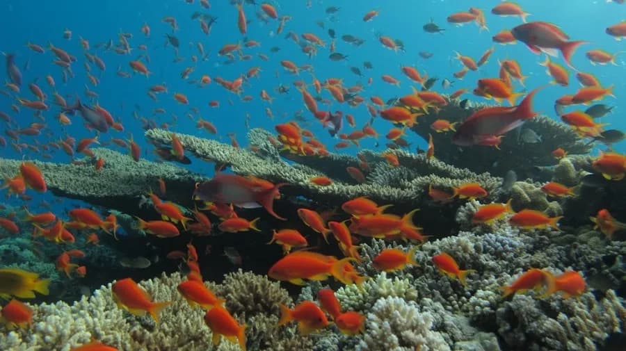UCPA El Gouna - Cover Photo