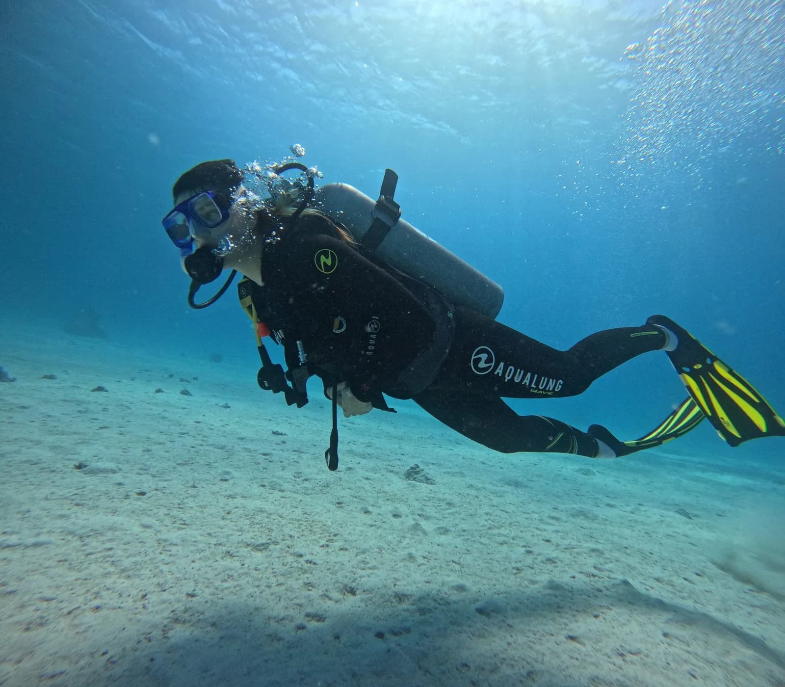 White Whale Divers - Cover Photo