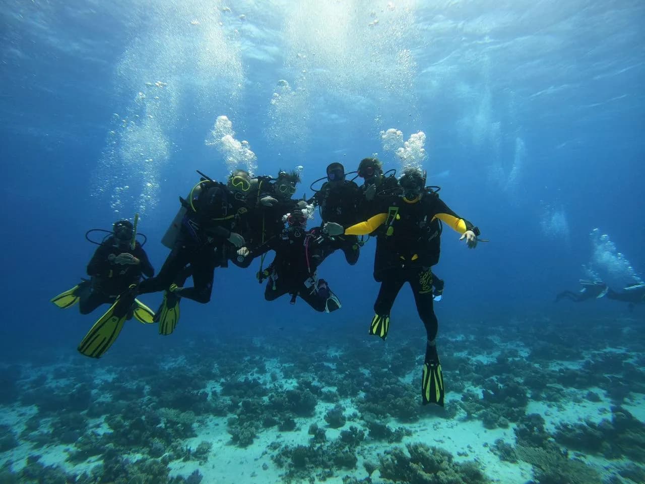 Aquarius Diving Club - Coral Beach - Cover Photo