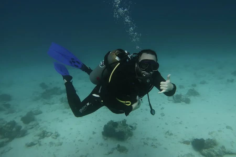 Penguin Diving Center - Cover Photo