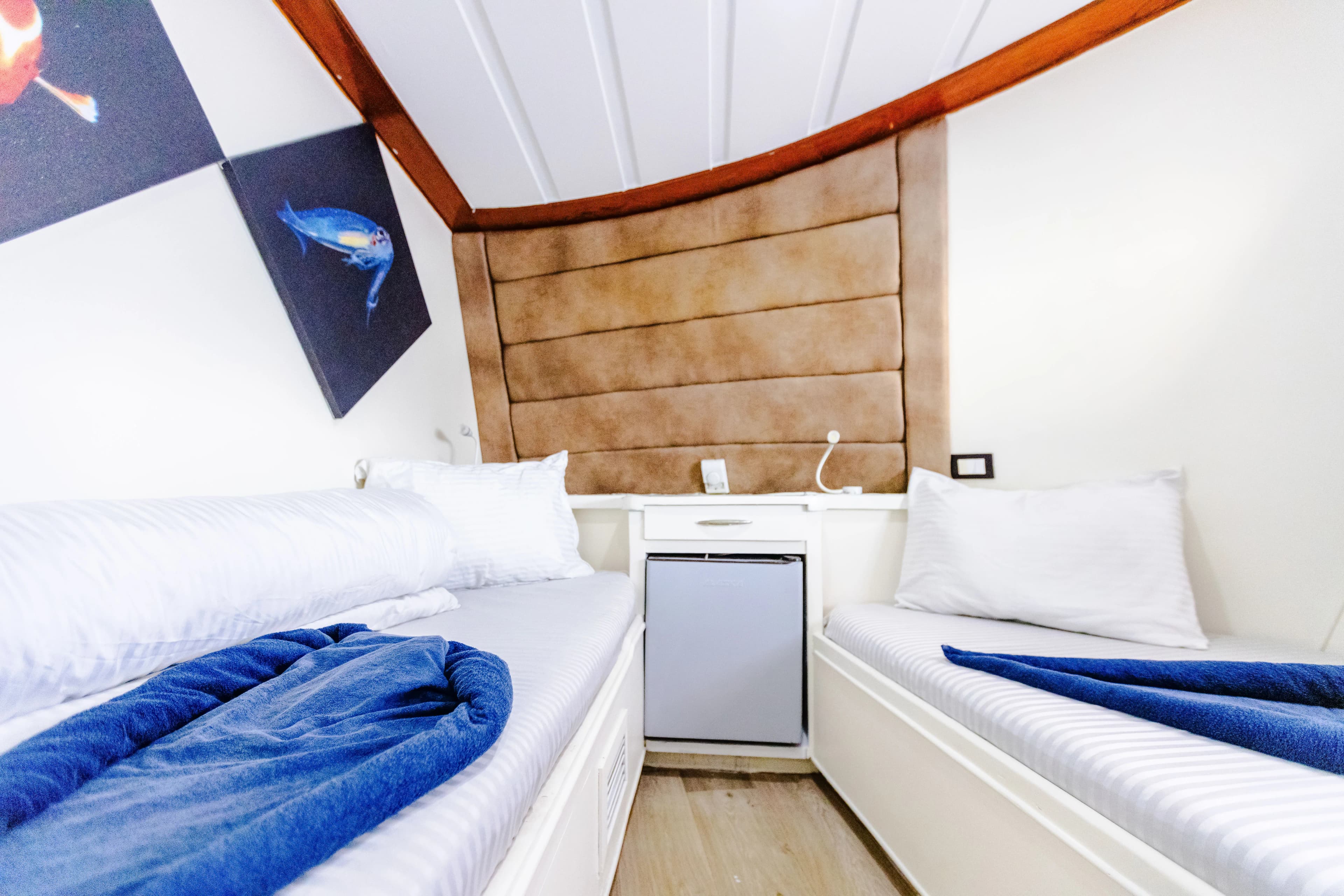 Main Deck Twin Cabin