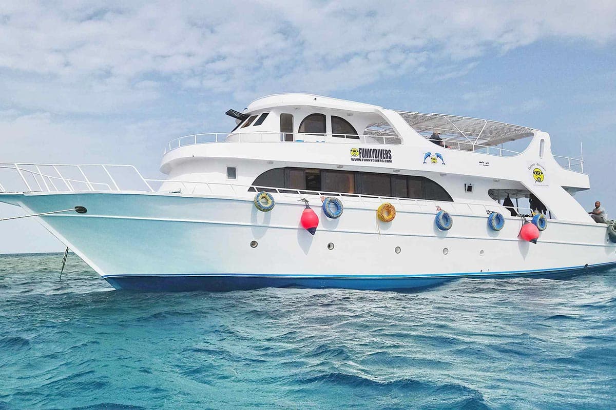 Funny Divers - Cover Photo